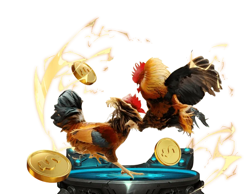 Nghiên cứu chiến kê